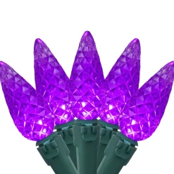 Northlight 70-Count Purple Led Faceted C6 Christmas Lights Set, 23 Ft Green Wire