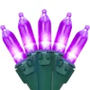 Northlight 100-Count Purple Led Mini Christmas Lights, 33Ft Green Wire