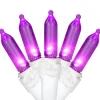 Northlight 50-Count Purple Led Mini Christmas Lights, 16.25 Ft White Wire