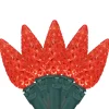 Northlight 70-Count Red Led Faceted C6 Christmas Light Set, 23Ft Green Wire