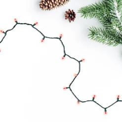 Northlight 100-Count Red Led Mini Christmas Lights - 33 Ft Green Wire