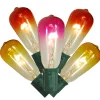Vickerman 10-Count Summer Sunset Ombre Transparent St40 Edison Christmas Light Set, 9Ft Green Wire