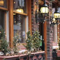 Northlight 100-Count Warm White Led Mini Christmas Lights, 33Ft Green Wire