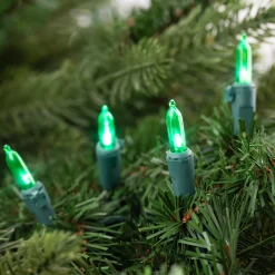 Northlight 50Ct Green Led Mini Christmas Lights, 16.25Ft Green Wire