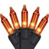 Northlight 50Ct Orange Mini Christmas Lights, 10Ft Black Wire