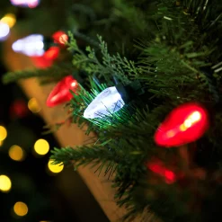 Northlight 25Ct Red And Pure White Led C7 Christmas Lights - 16Ft Green Wire