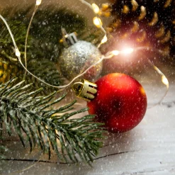 Northlight Shatterproof><noscript><img width=