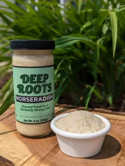 CC Home Furnishings 3Ct Super Hot Pure Fresh Horseradish 8 Oz. Each