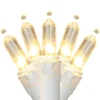 Northlight 35Ct Warm White Led Mini Christmas Lights, 11.25Ft White Wire
