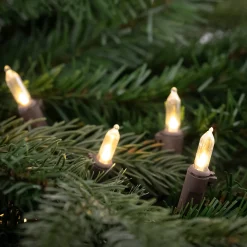 Northlight 35Ct Warm White Led Mini Christmas Lights, 11.25Ft Brown Wire