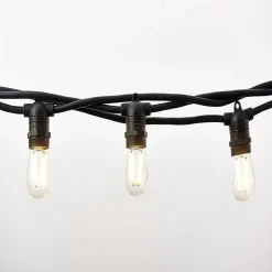 Hi-Line Gifts 11Ct Warm White String Light Set, 21Ft Black Wire