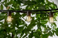 Hi-Line Gifts 11Ct Warm White String Light Set, 21Ft Black Wire