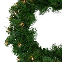 Pre-Lit Wreaths*Northlight Deluxe Windsor Pine Artificial Christmas Wreath - 16-Inch, Clear Lights