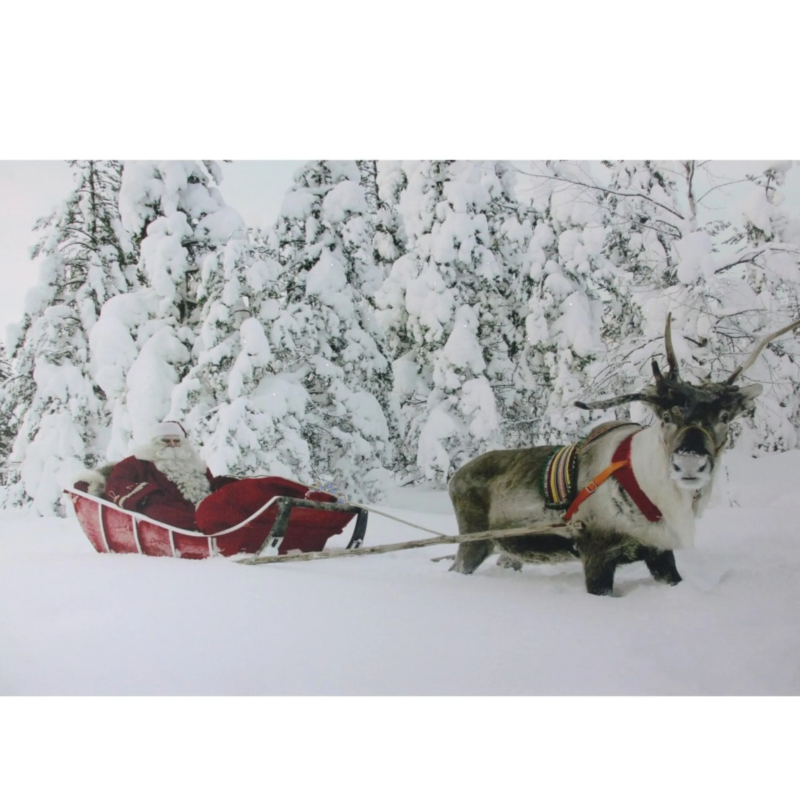 Wall & Door Decorations*Northlight Fiber Optic Lighted Santa In His Sleigh Canvas Wall Art 15.75" X 23.5"