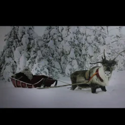 Wall & Door Decorations*Northlight Fiber Optic Lighted Santa In His Sleigh Canvas Wall Art 15.75" X 23.5"