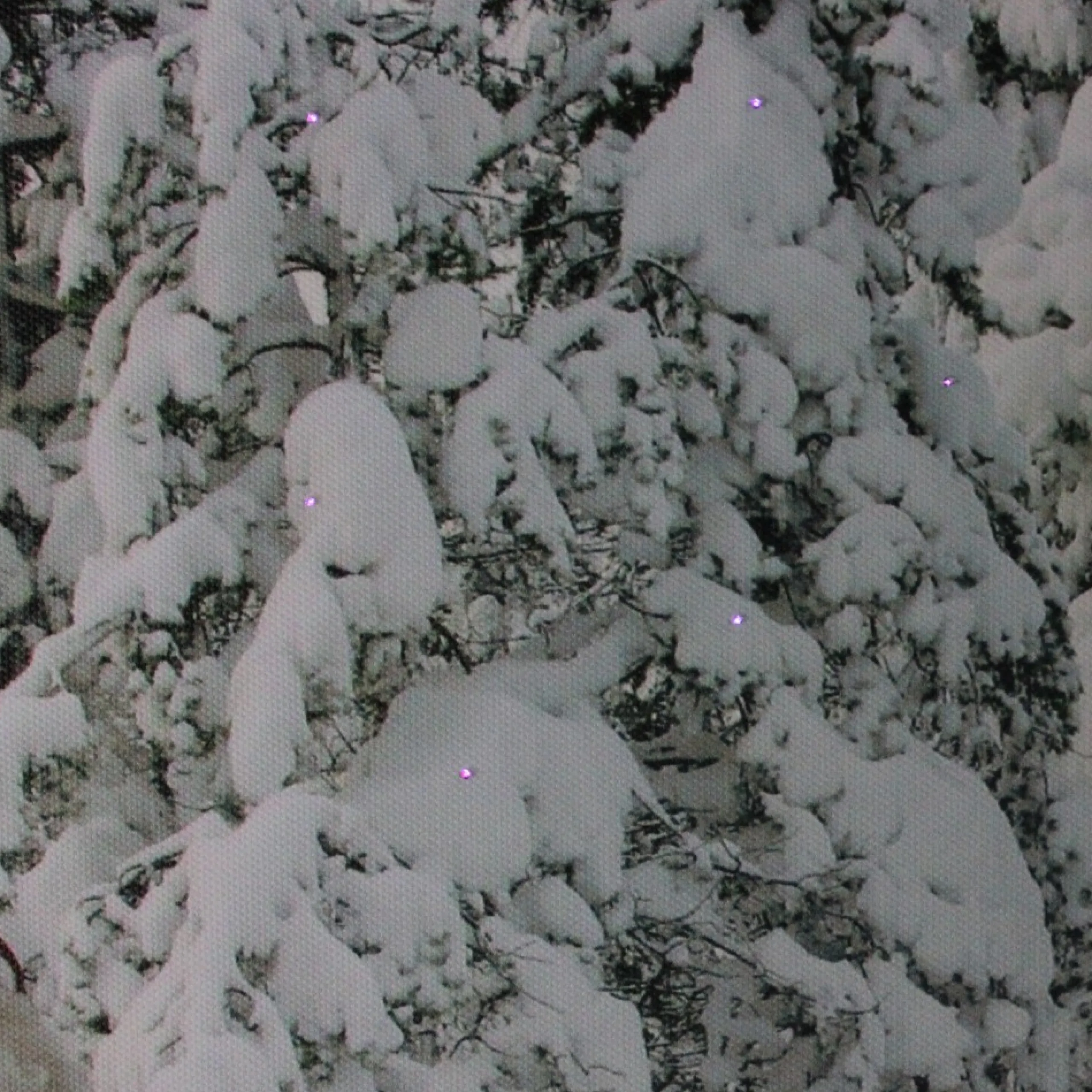 Wall & Door Decorations*Northlight Fiber Optic Lighted Santa In His Sleigh Canvas Wall Art 15.75" X 23.5"