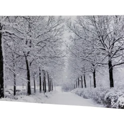 Wall & Door Decorations*Northlight Fiber Optic Lighted Winter Lane Snowfall Christmas Canvas Wall Art 23.5" X 15.75"