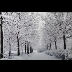 Wall & Door Decorations*Northlight Fiber Optic Lighted Winter Lane Snowfall Christmas Canvas Wall Art 23.5" X 15.75"