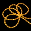 Sienna Gold Incandescent Outdoor Christmas Rope Lights - 102 Ft
