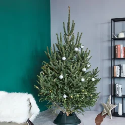 Live Tree Stands*Northlight Green Live Christmas Tree Stand - For Trees Up To 8Ft Tall