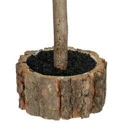 Northlight 2.5 Feet Tall And Smaller><noscript><img width=