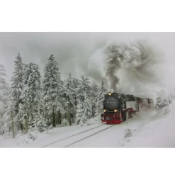 Wall & Door Decorations*Northlight Large Fiber Optic And Led Lighted Winter Woods With Train Canvas Wall Art 23.5" X 15.5"
