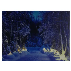 Wall & Door Decorations*Northlight Led Lighted Nighttime In The Woods Winter Scene Canvas Wall Art 15.75"