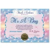 Beistle Pack Of Baby Blue "It's A Boy" Stork Airlines Certificates 5" X 7"