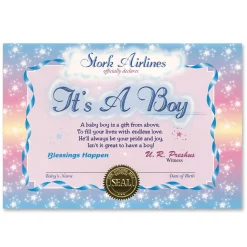 Beistle Pack Of Baby Blue "It's A Boy" Stork Airlines Certificates 5" X 7"