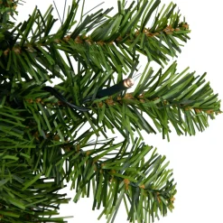 Pre-Lit Wreaths*Northlight Pre-Lit Canadian Pine Artificial Christmas Wreath, 30-Inch, Clear Lights