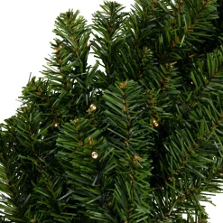 Pre-Lit Wreaths*Northlight Pre-Lit Canadian Pine Artificial Christmas Wreath, 24-Inch, Clear Lights