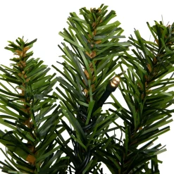 Pre-Lit Wreaths*Northlight Pre-Lit Canadian Pine Artificial Christmas Wreath, 24-Inch, Clear Lights