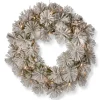 Frosted, Flocked, Iced Wreaths*National Tree Company Pre-Lit Flocked Bristle Pine Artificial Christmas Wreath, 24-Inch, White Led Lights
