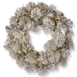 Frosted, Flocked, Iced Wreaths*National Tree Company Pre-Lit Flocked Bristle Pine Artificial Christmas Wreath, 24-Inch, White Led Lights