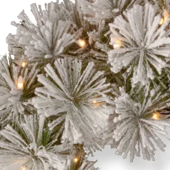 Frosted, Flocked, Iced Wreaths*National Tree Company Pre-Lit Flocked Bristle Pine Artificial Christmas Wreath, 24-Inch, White Led Lights