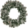 Pre-Lit Wreaths*Northlight Pre-Lit Flocked Victoria Pine Artificial Christmas Wreath - 24-Inch, Clear Lights