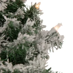 Pre-Lit Wreaths*Northlight Pre-Lit Flocked Victoria Pine Artificial Christmas Wreath - 24-Inch, Clear Lights