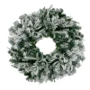 Pre-Lit Wreaths*Northlight Pre-Lit Flocked Winfield Fir Artificial Christmas Wreath - 36-Inch, Warm White Led Lights
