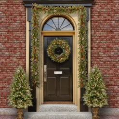 Frosted, Flocked, Iced Wreaths*National Tree Company Pre-Lit Frosted Berry Artificial Christmas Wreath, 24-Inch, Clear Lights