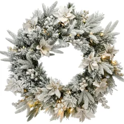 Frosted, Flocked, Iced Wreaths*National Tree Company Pre-Lit Frosted Colonial Fir Artificial Christmas Wreath, 24-Inch, Warm White Led Lights
