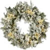 Frosted, Flocked, Iced Wreaths*National Tree Company Pre-Lit Frosted Colonial Fir Artificial Christmas Wreath, 30-Inch, Led Cosmic Lights