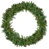 Pre-Lit Wreaths*Northlight Pre-Lit Led Dakota Red Pine Artificial Christmas Wreath - 48-Inch, Warm White Lights