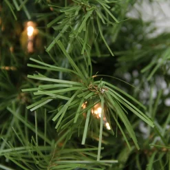 Pre-Lit Wreaths*Northlight Pre-Lit Northern Frasier Fir Artificial Christmas Wreath - 24-Inch, Clear Lights