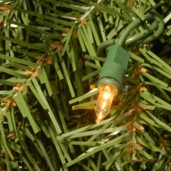 Pre-Lit Wreaths*National Tree Company Pre-Lit Norwood Fir Artificial Christmas Wreath, 36-Inch, Multicolor Led Lights