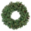 Pre-Lit Wreaths*Northlight Pre-Lit Royal Oregon Pine Artificial Christmas Wreath, 36 Inch, Clear Lights