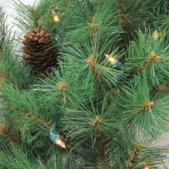 Pre-Lit Wreaths*Northlight Pre-Lit Royal Oregon Pine Artificial Christmas Wreath, 36 Inch, Clear Lights