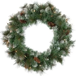 Frosted, Flocked, Iced Wreaths*Northlight Pre-Lit Snow Valley Pine Artificial Christmas Wreath, 24-Inch, Clear Lights