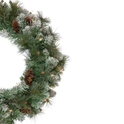 Frosted, Flocked, Iced Wreaths*Northlight Pre-Lit Snow Valley Pine Artificial Christmas Wreath, 24-Inch, Clear Lights