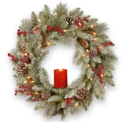 Frosted, Flocked, Iced Wreaths*National Tree Company Pre-Lit Snowy Bristle Berry Artificial Christmas Wreath, 24-Inch, White Led Lights
