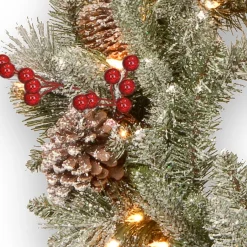 Frosted, Flocked, Iced Wreaths*National Tree Company Pre-Lit Snowy Bristle Berry Artificial Christmas Wreath, 24-Inch, White Led Lights